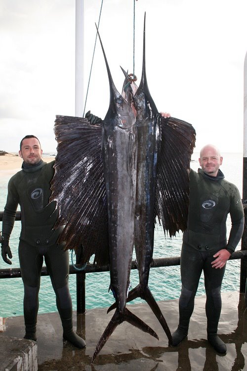 125-115-pound-sailfish-deep-water-marks .jpg