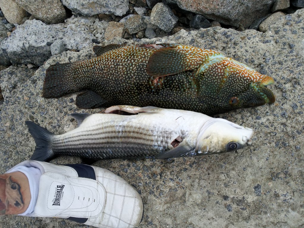 20140901_190310.jpg