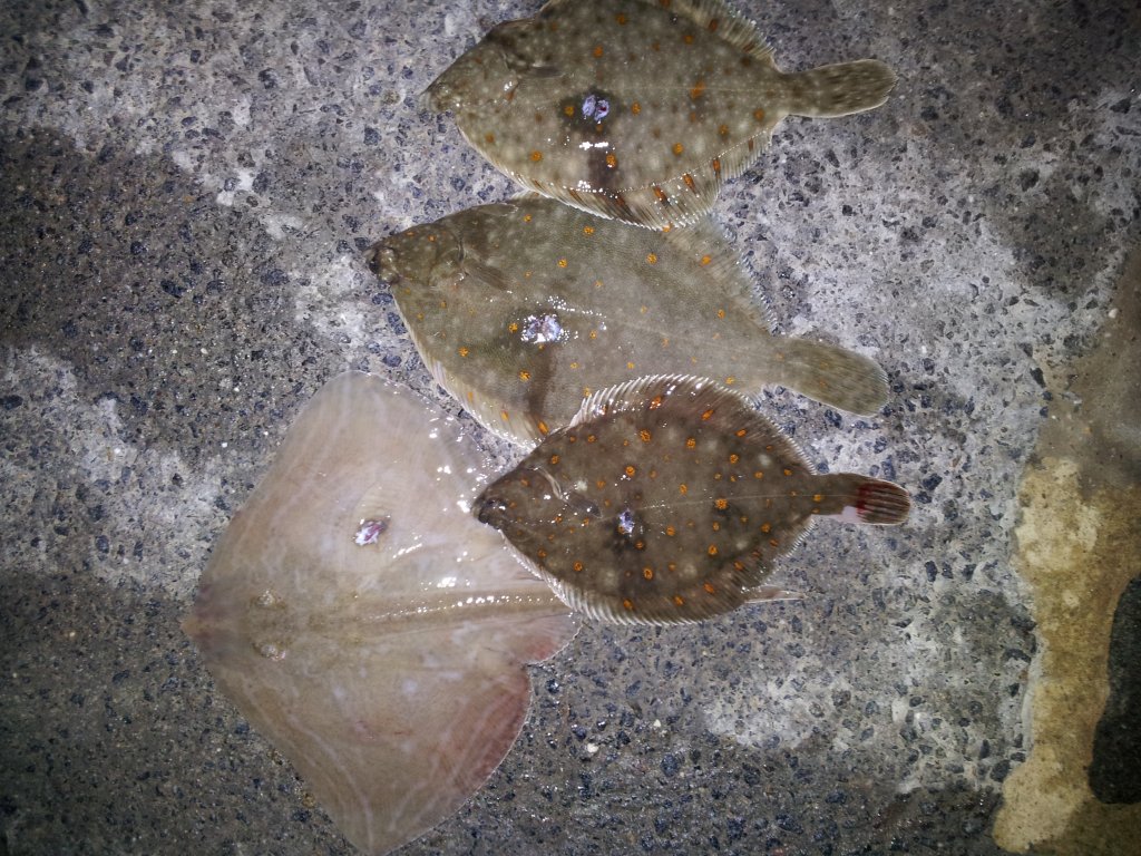 20140906_022542.jpg