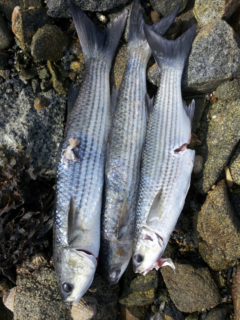 20140909_144338.jpg