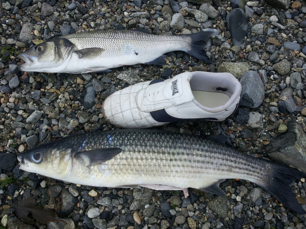 20140920_103640.jpg