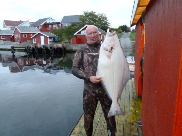Norway spearfishing.  DeeperBlue.com Forums