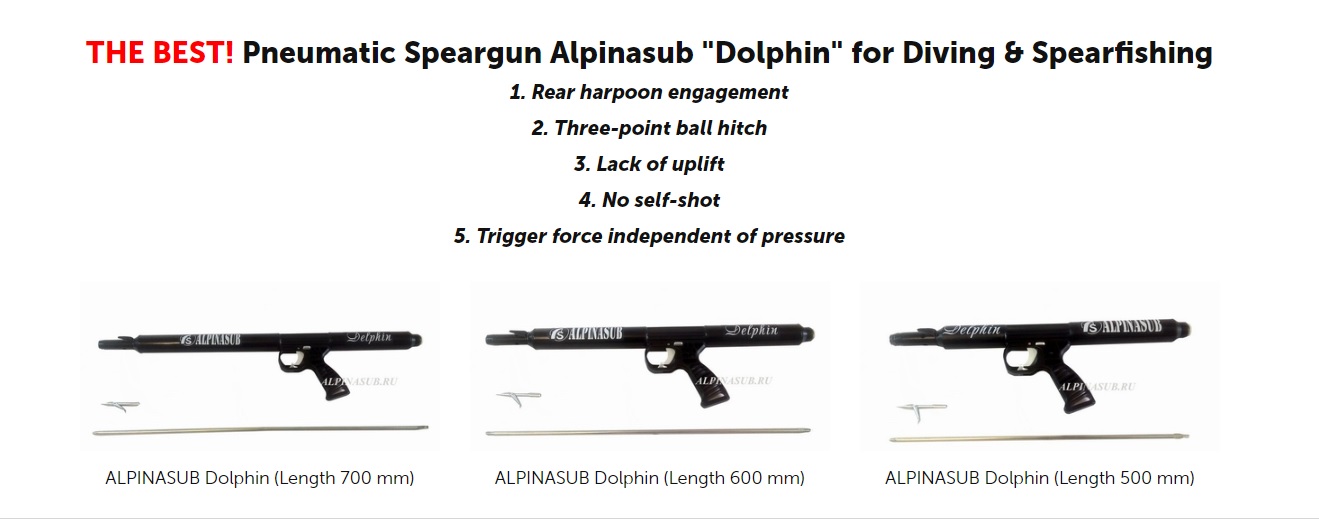 Alpinasub Delphin.jpg
