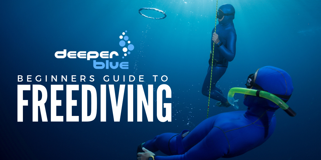 Beginners Guide to Freediving (1).png
