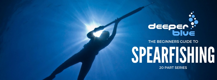 DeeperBlue.com - The Beginners Guide to Spearfishing - Banner.jpg