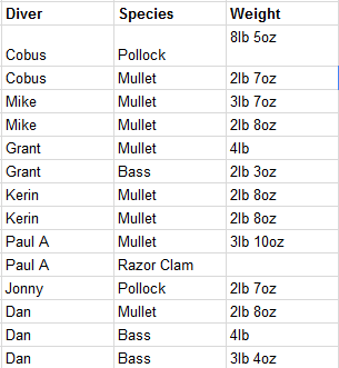 DeeperBlue.com UK Member Meet 2015 - Google Sheets - Mozilla Firefox 2015-08-01 17.11.57.png