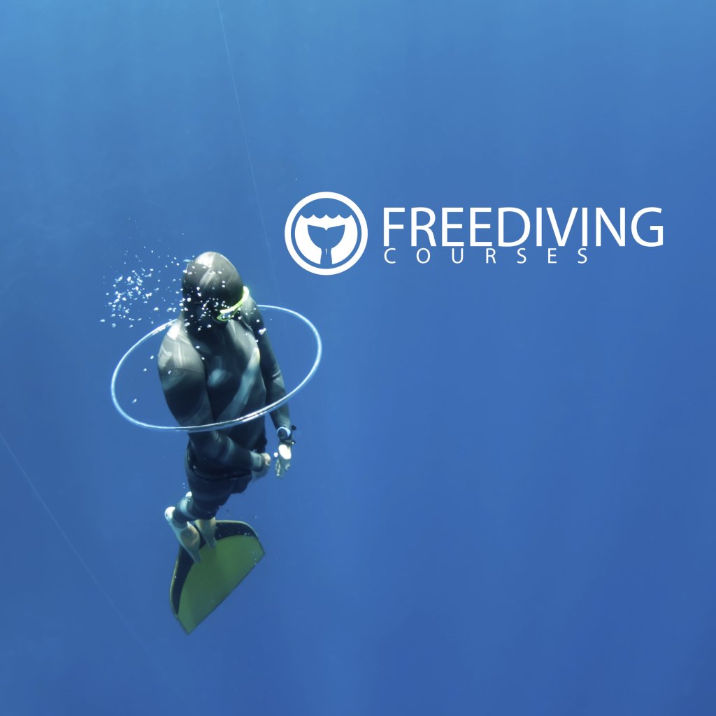 freedivingcourses-logo-2228x2228.jpg