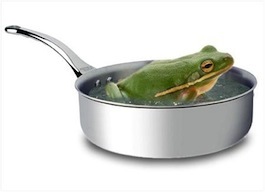 frog (1).jpg