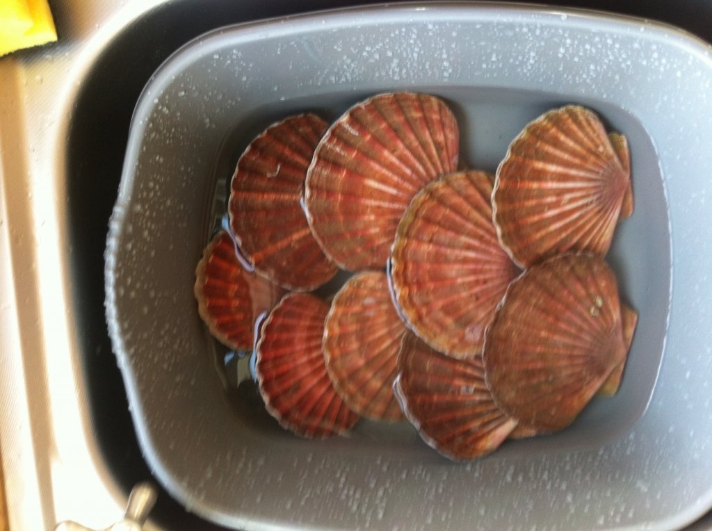 image.jpg