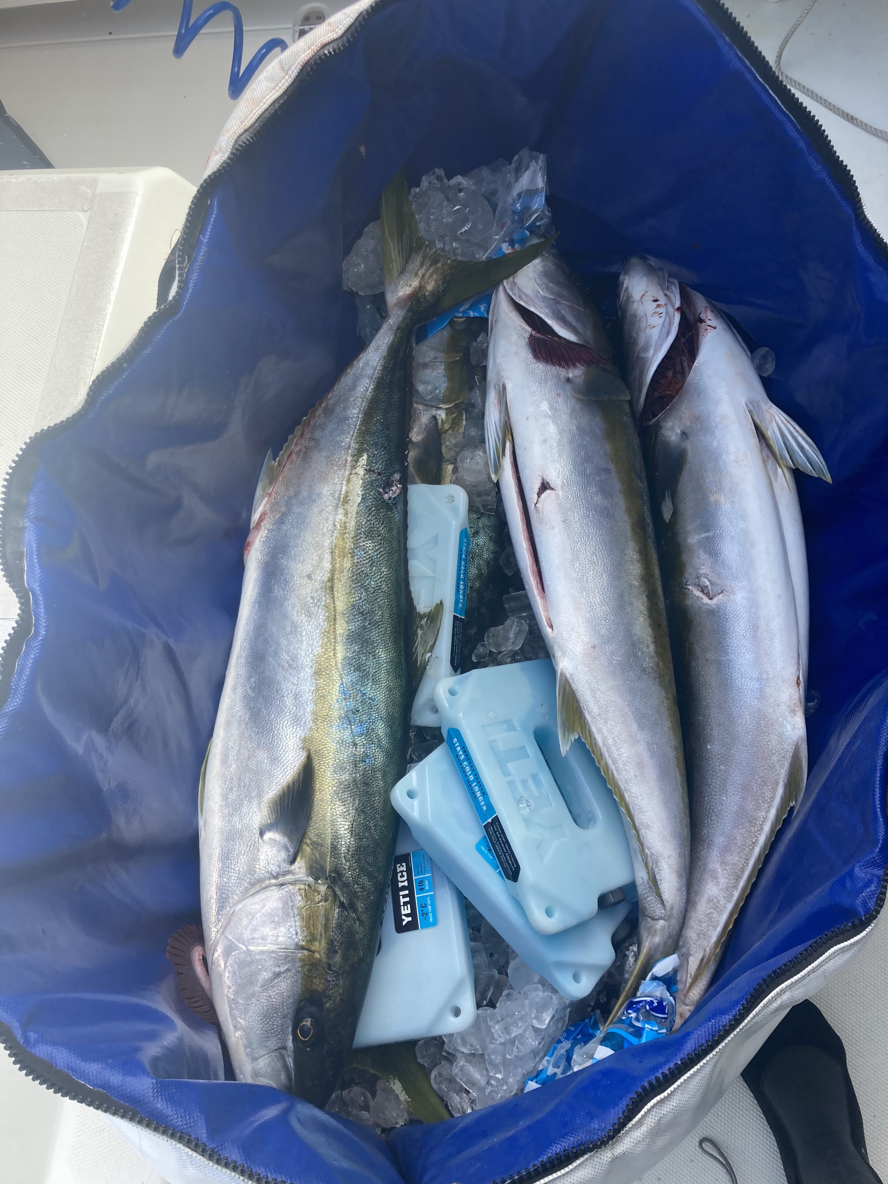 For Sale - MAKO Insulated Fish Bags