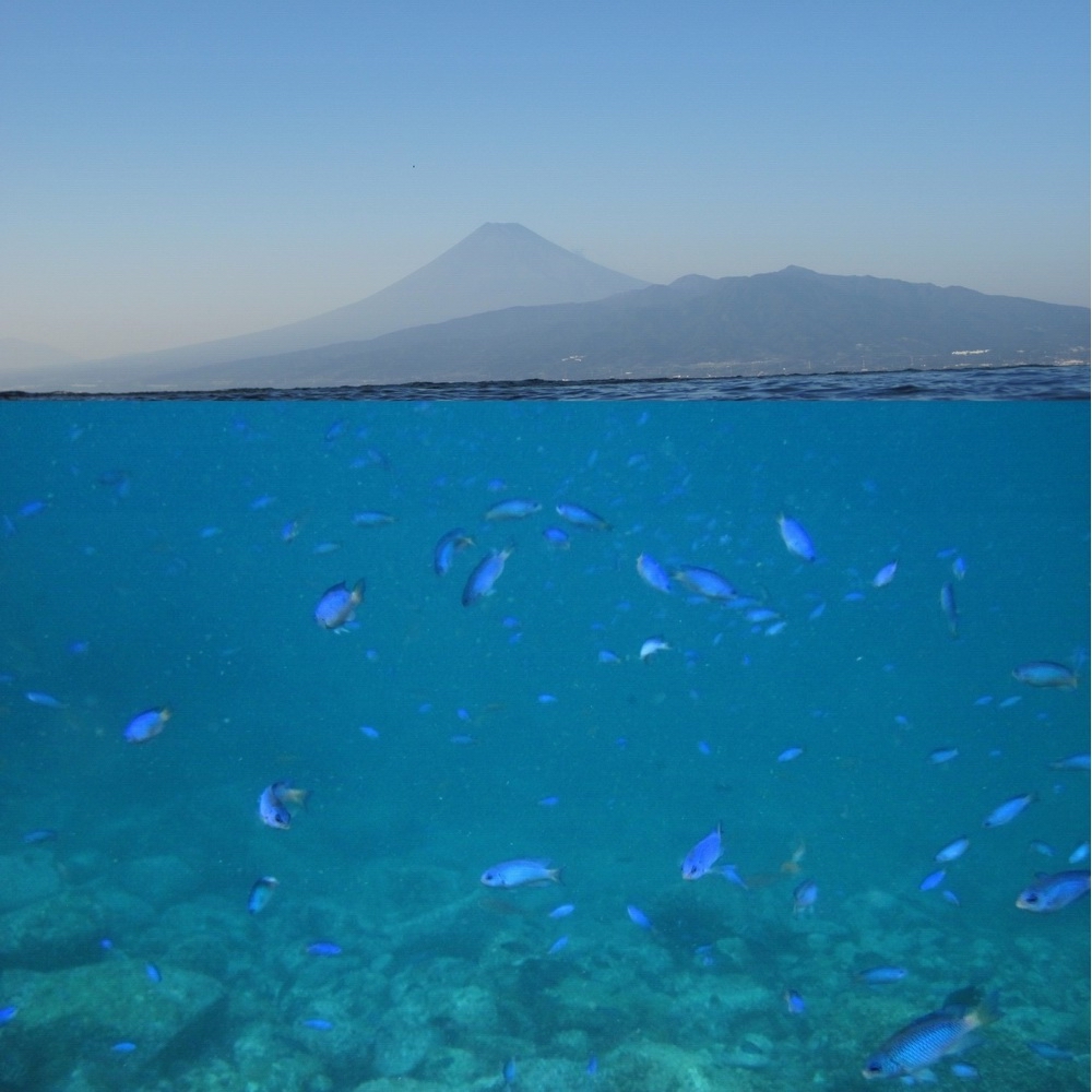 IMG_3843 - enlarge 21.jpg