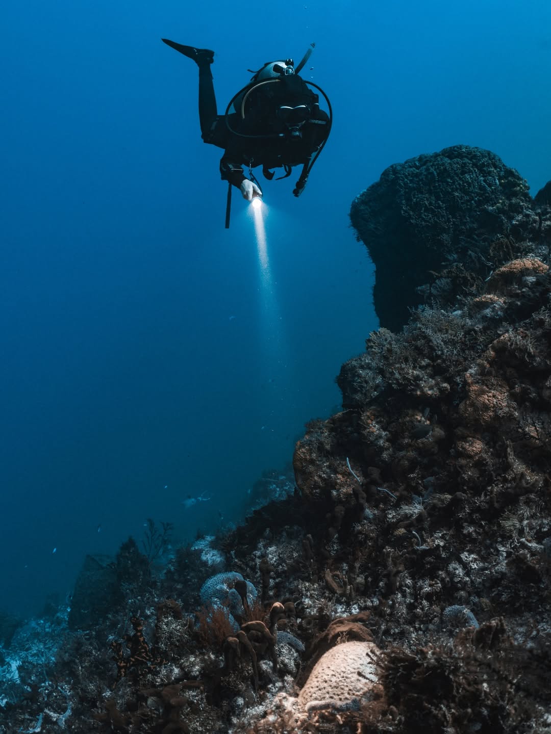 mawu_underwater-XTAR D26 2800 P2.jpg