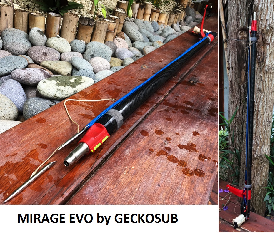 Mirage EVO GeckoSUB.jpg