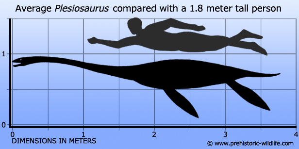 plesiosaurus-size.jpg