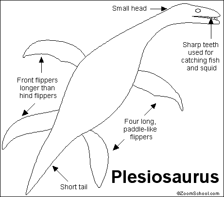 Plesiosaurus_bw.GIF