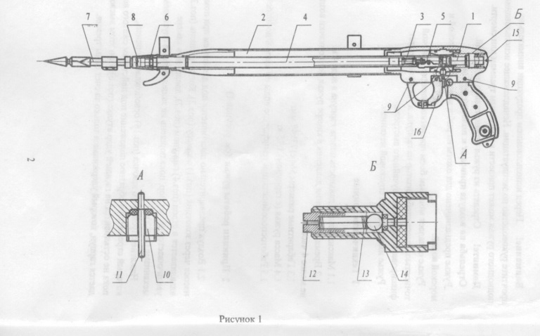 Shark layout.jpg