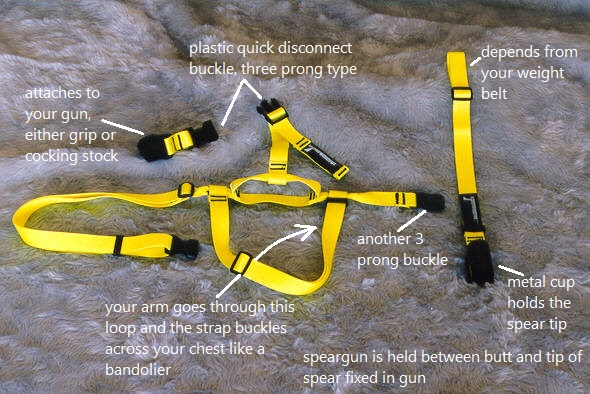 Speargear annotated.jpg