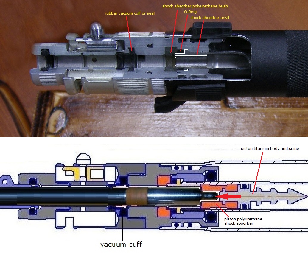 Taimen muzzle section annotated.jpg