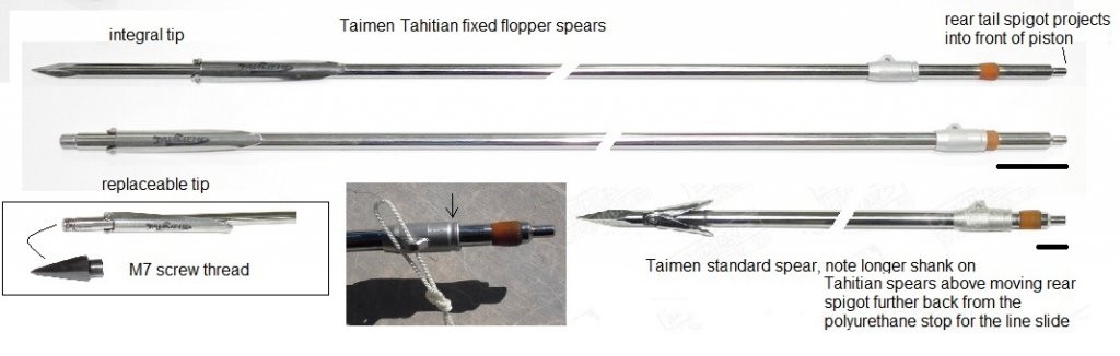 Taimen Tahitian spears.jpg