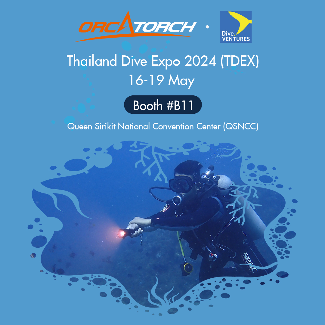 TDEX2024.jpg