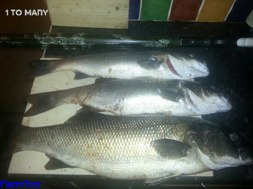 uploadfromtaptalk1402080016458.jpg