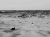 rough sea 28th 005.jpg