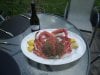 2009_0601devonspidercrab0240.jpg