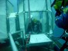 neemo-injured-crew-analog.jpg