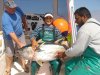 Zazu Yellowfin small.JPG