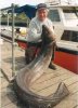 133lbs world record conger 1995.jpg