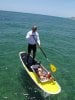 resized lloyd sup-er tray.jpg