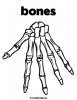 Bones.jpg