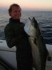 40.5%20lb.%20yellowtail%20%28mid%20distance%29.jpg