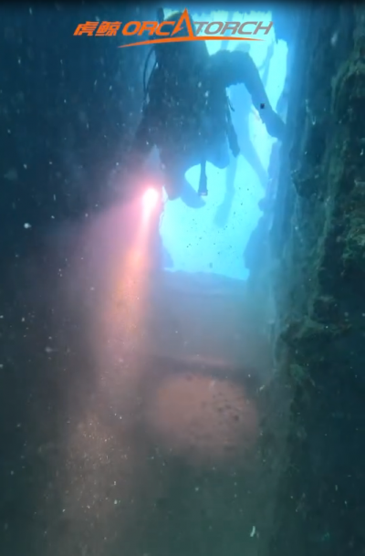D710 for wreck diving.png