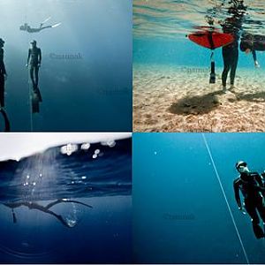 Freediving