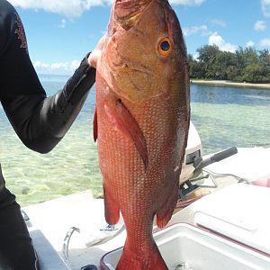 Saipan Fishing