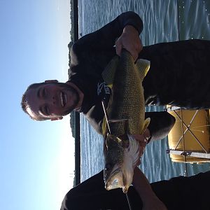 spearfishing in Québec, Canada