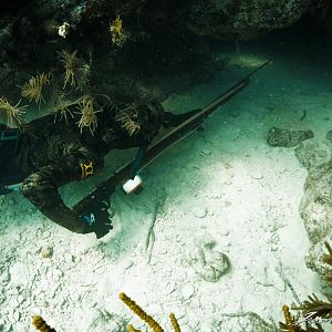 Spearfishing with Nautilus and Deep Apnea