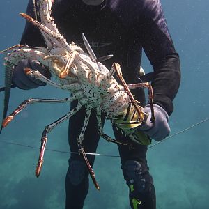 Cuba fishing