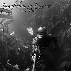 Spearfishing in Kernow 2012