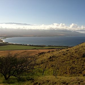 Ma'alaea Bay