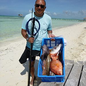 Cuban Fishing