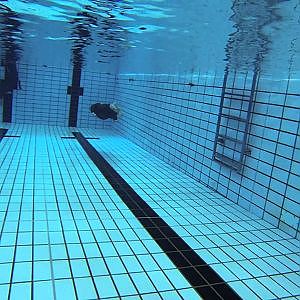 DNF 50m, 2 stroke/kicks/25m, Innerdive Course