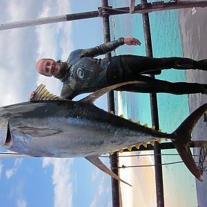 325lb yellowfin tuna