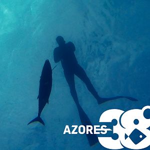 www.azores38n.com