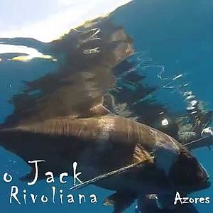 Azores 38ºN - Spearfishing in Summer II - 2015