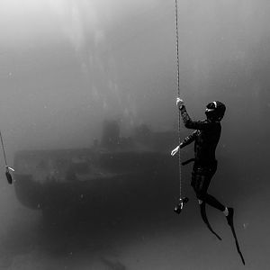 Epic freediving course on sea tiger