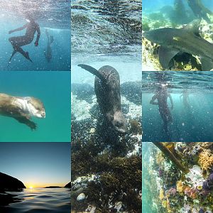 My diving year 2017 in photos