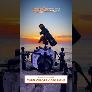 Introducing the D710V: Small but Powerful Three Colors Video Dive Light