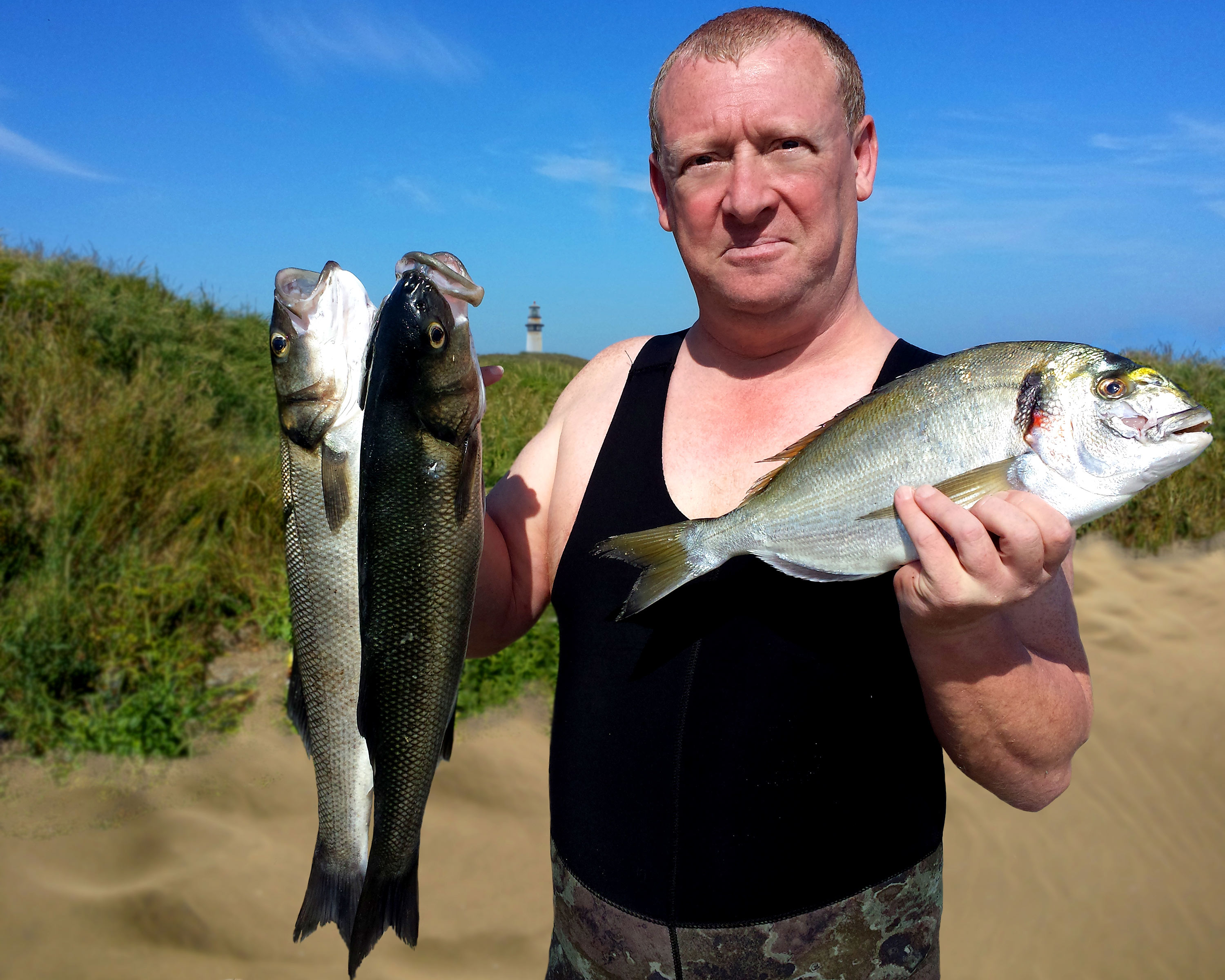 Bass and Gilthrad Bream